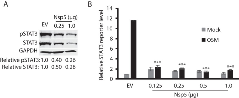 FIG 9