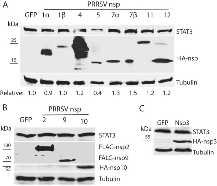 FIG 5