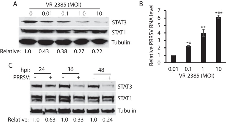 FIG 3