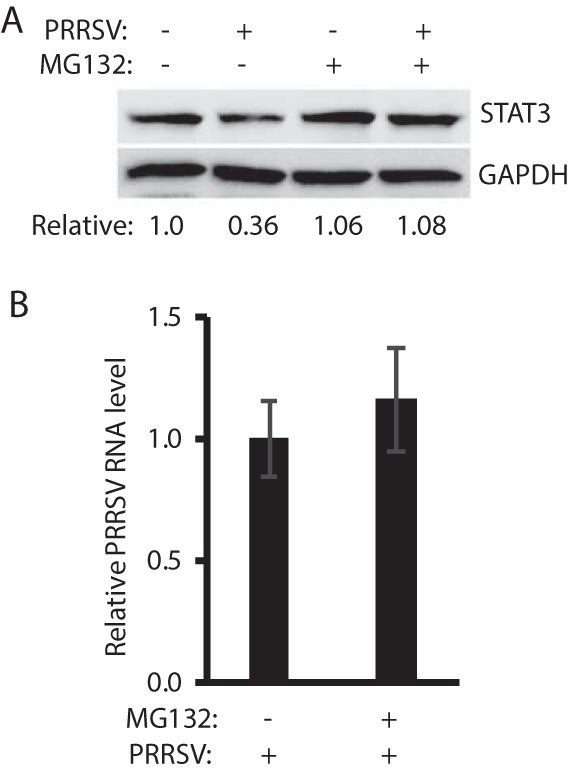 FIG 4