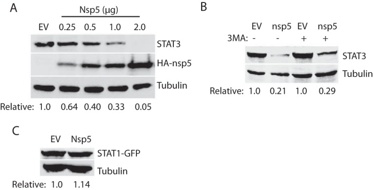 FIG 6