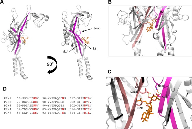 Figure 2