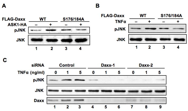 Fig 5