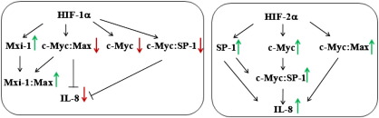 Fig. 7