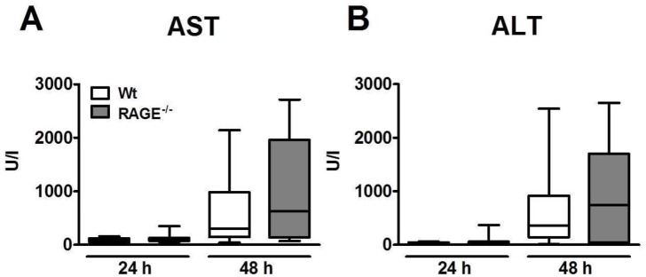 Fig 5