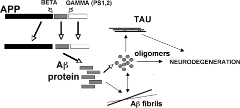 Fig. 1