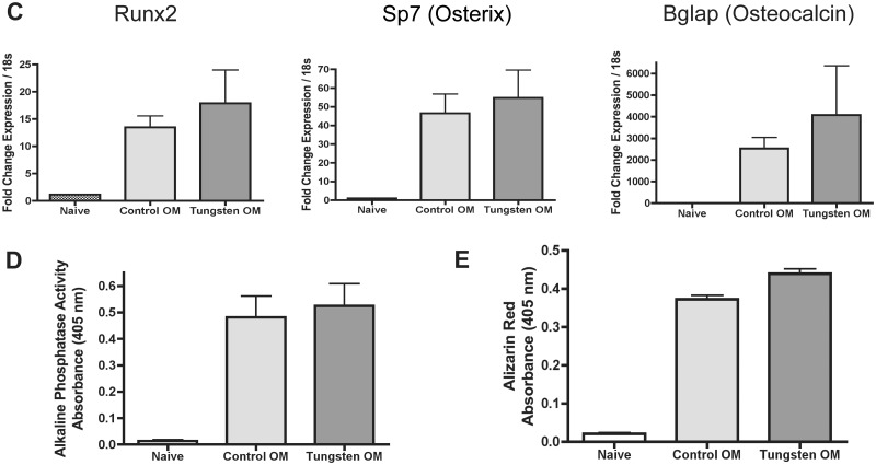 FIG. 4