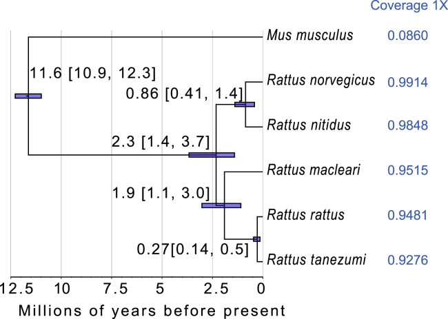 Figure 1