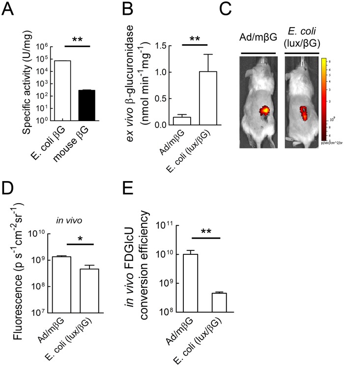 Fig 8