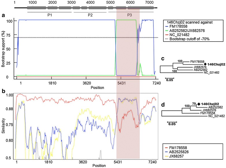 Fig. 2