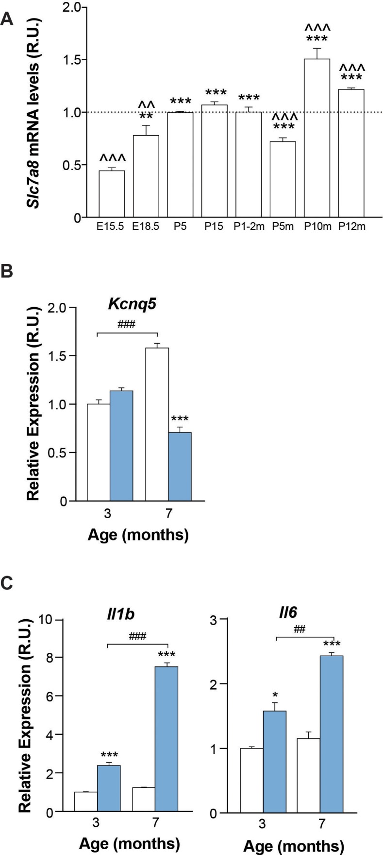 Figure 2—figure supplement 1.