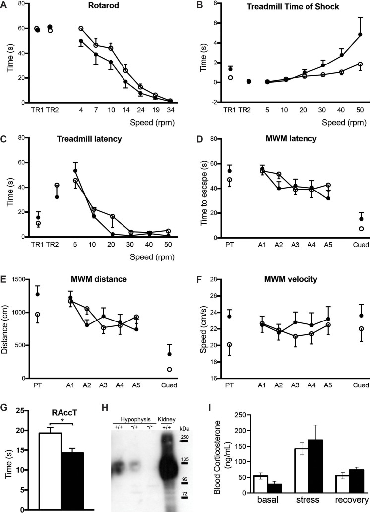 Figure 1—figure supplement 3.