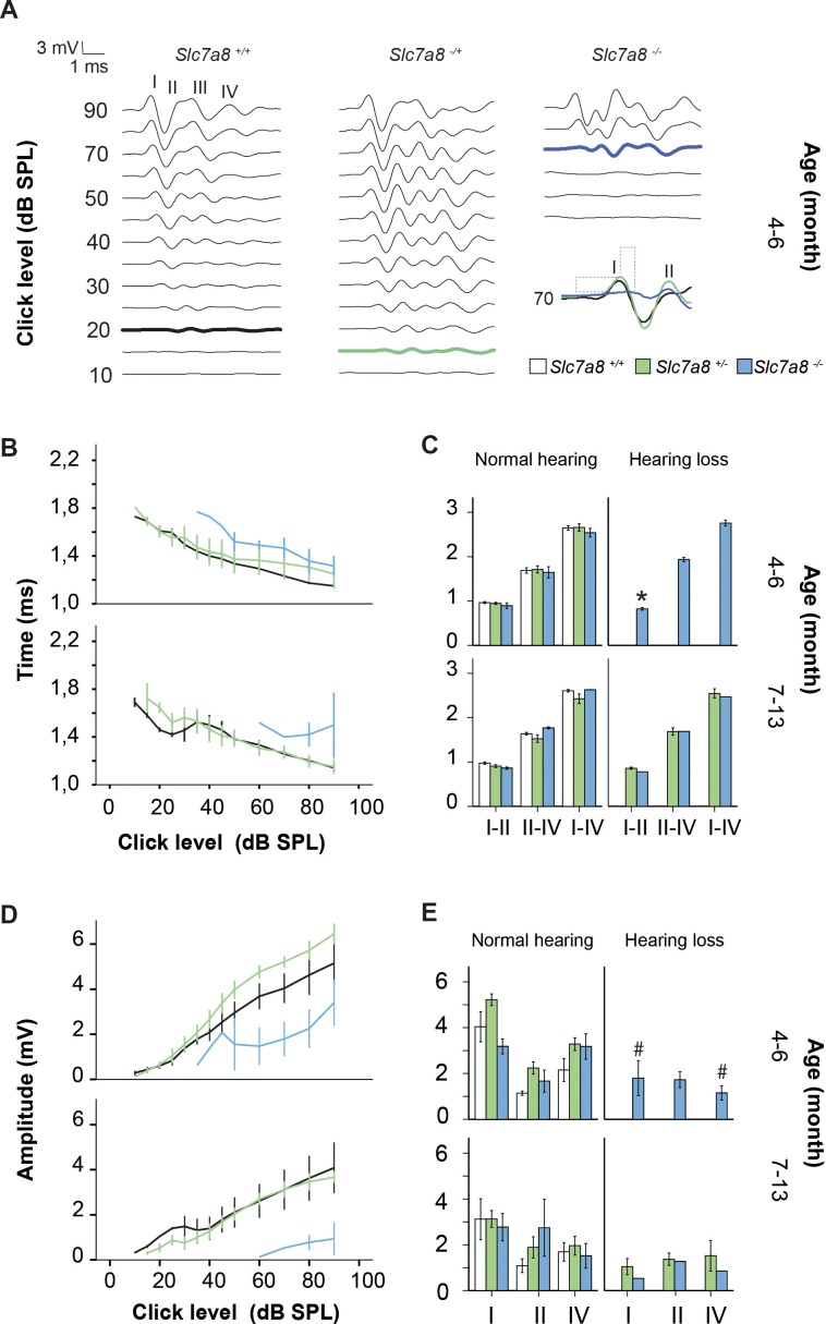 Figure 1—figure supplement 4.