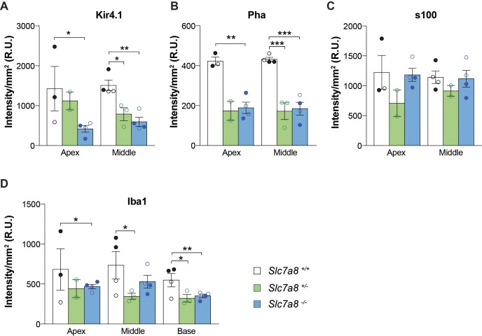 Figure 4—figure supplement 1.