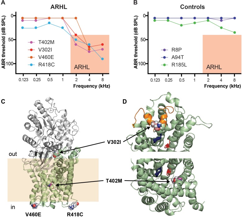 Figure 5—figure supplement 1.