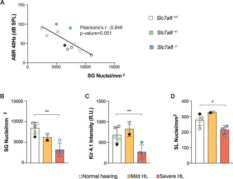 Figure 3—figure supplement 1.