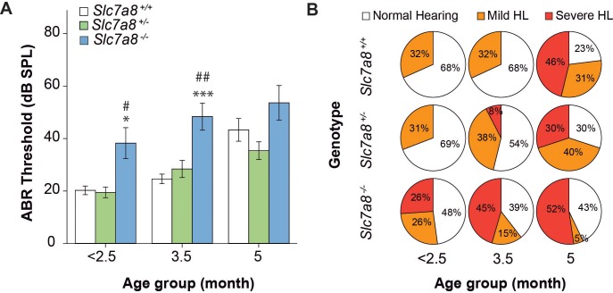 Figure 2—figure supplement 2.