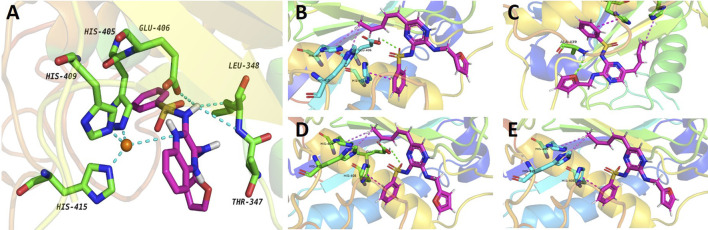 FIGURE 10