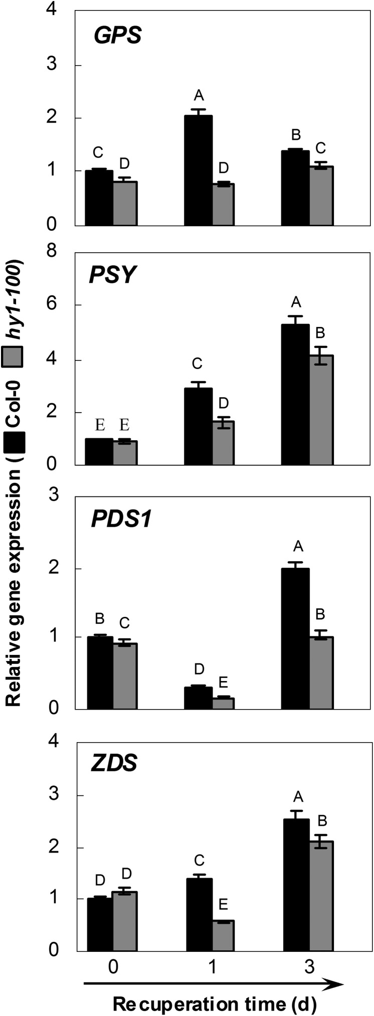 Fig. 4.