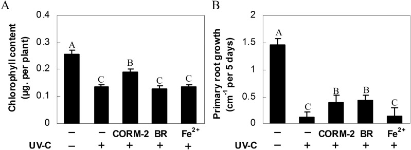 Fig. 8.