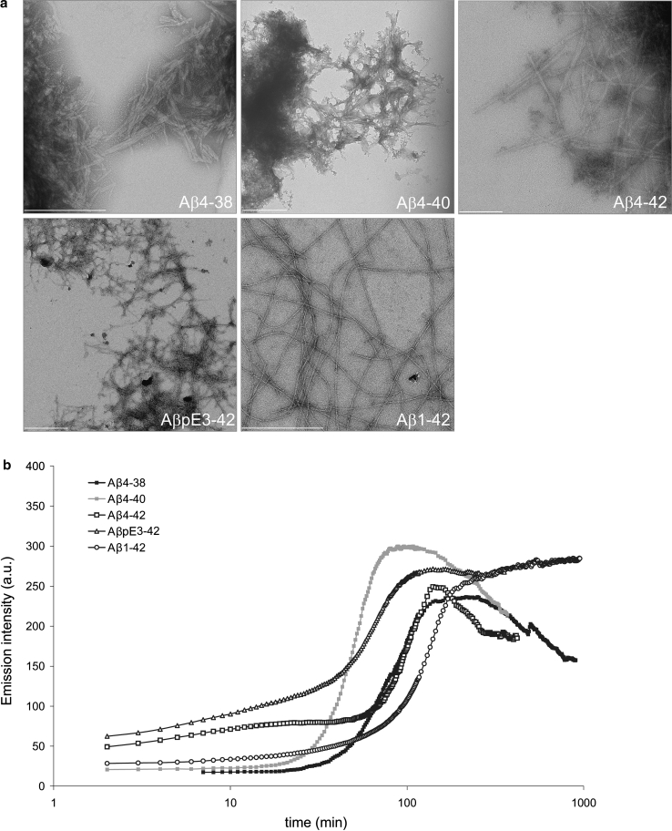 Fig. 2