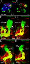 Fig. 4.