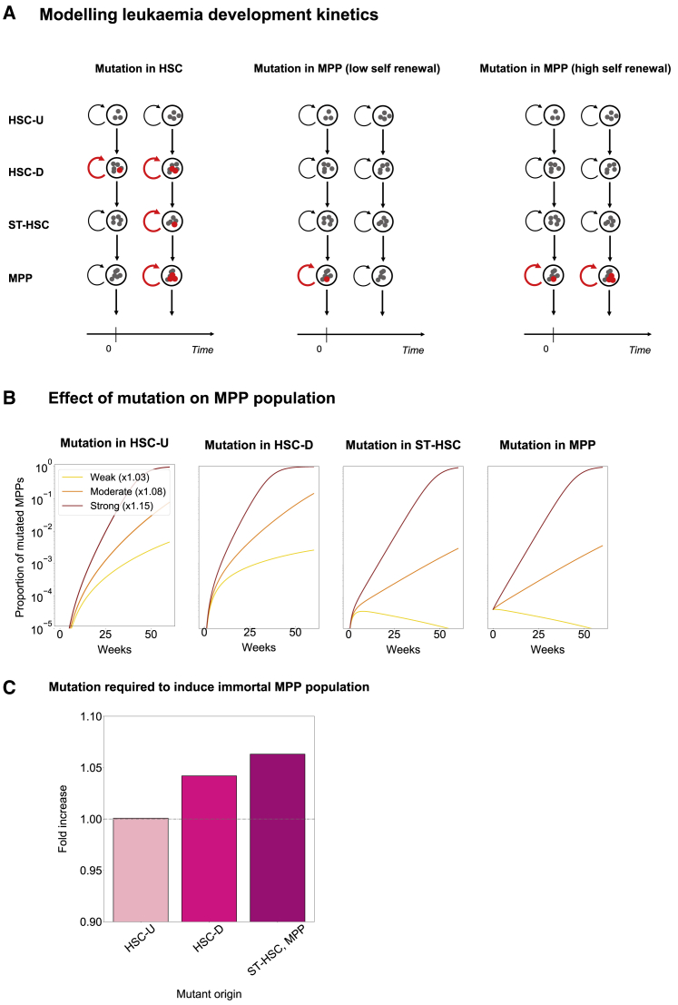 Figure 4