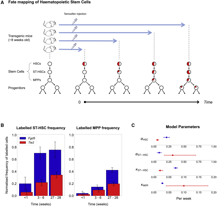 Figure 1