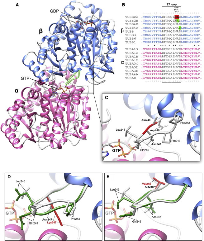 Figure 5