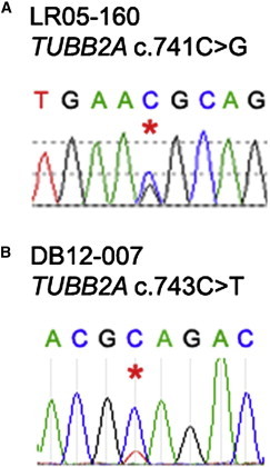 Figure 2