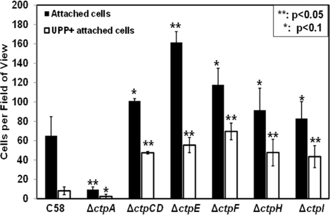 FIG 6