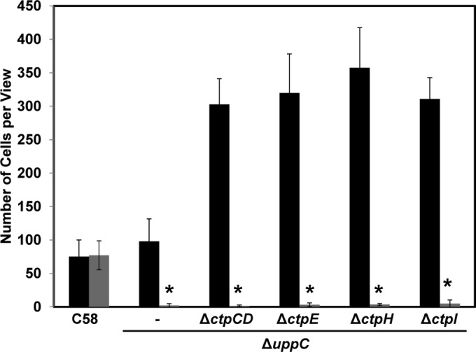 FIG 7