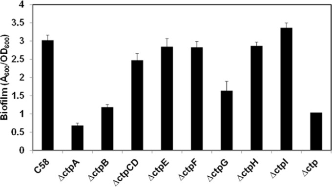 FIG 3