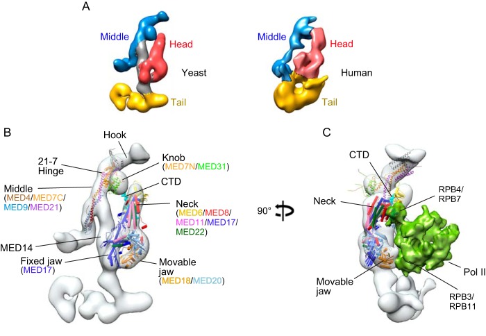 FIGURE 1.