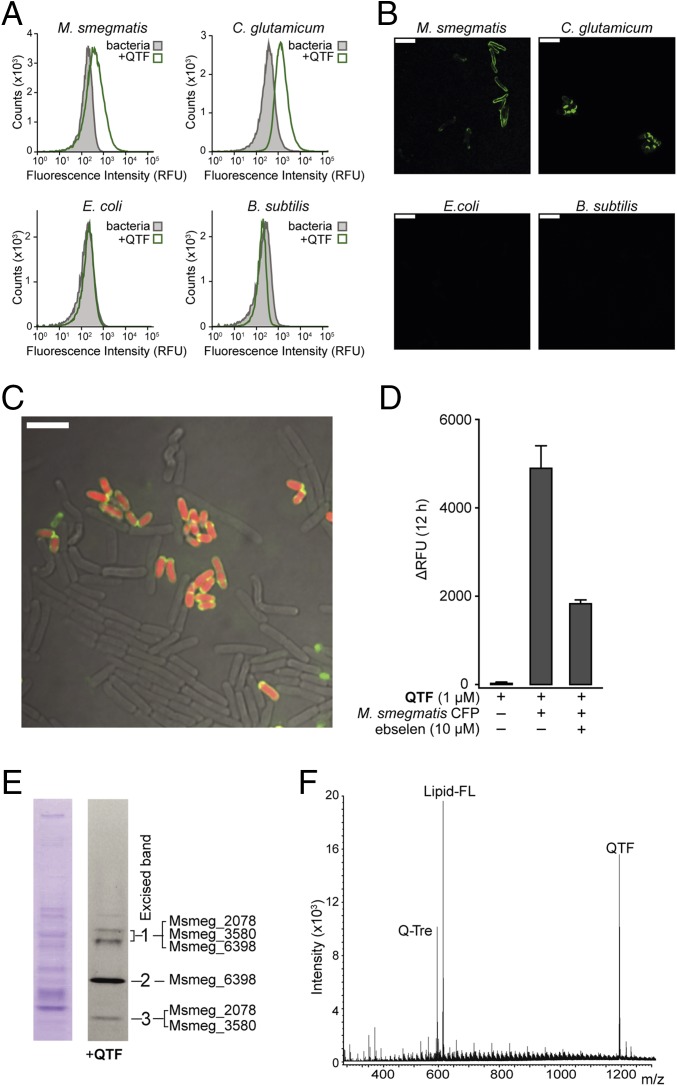 Fig. 3.