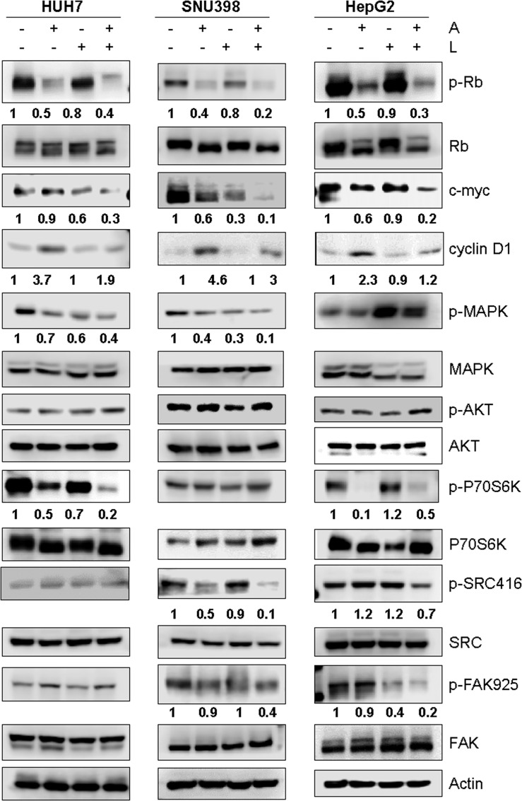 Figure 5