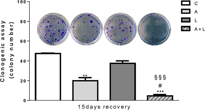 Figure 6