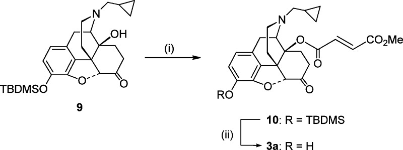 Scheme 2