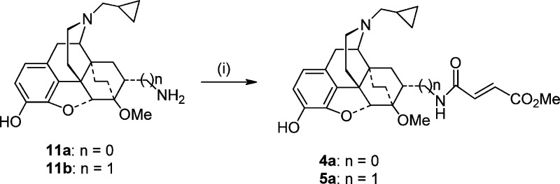 Scheme 3