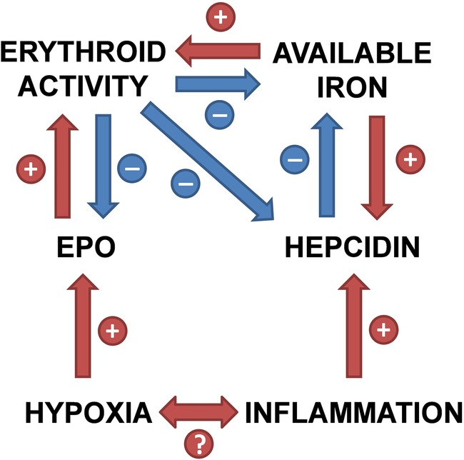 Figure 7