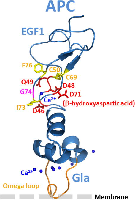 Figure 8