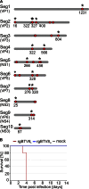 FIG 2