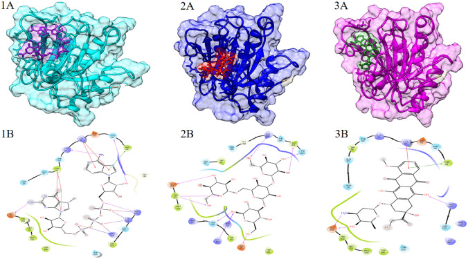 Fig. 1