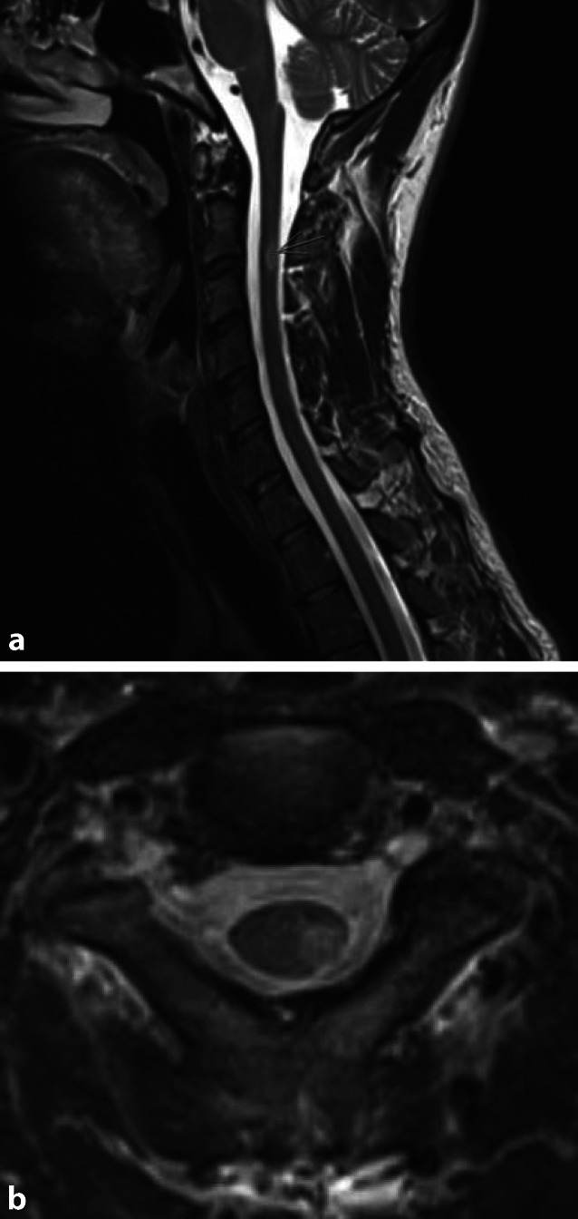 graphic file with name 117_2021_816_Fig1_HTML.jpg