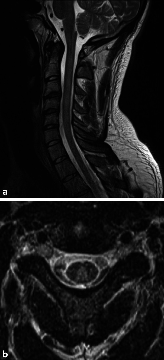 graphic file with name 117_2021_816_Fig3_HTML.jpg