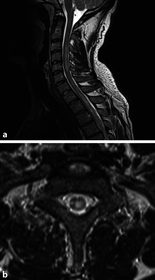 graphic file with name 117_2021_816_Fig2_HTML.jpg