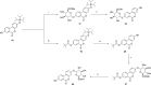 Scheme 4