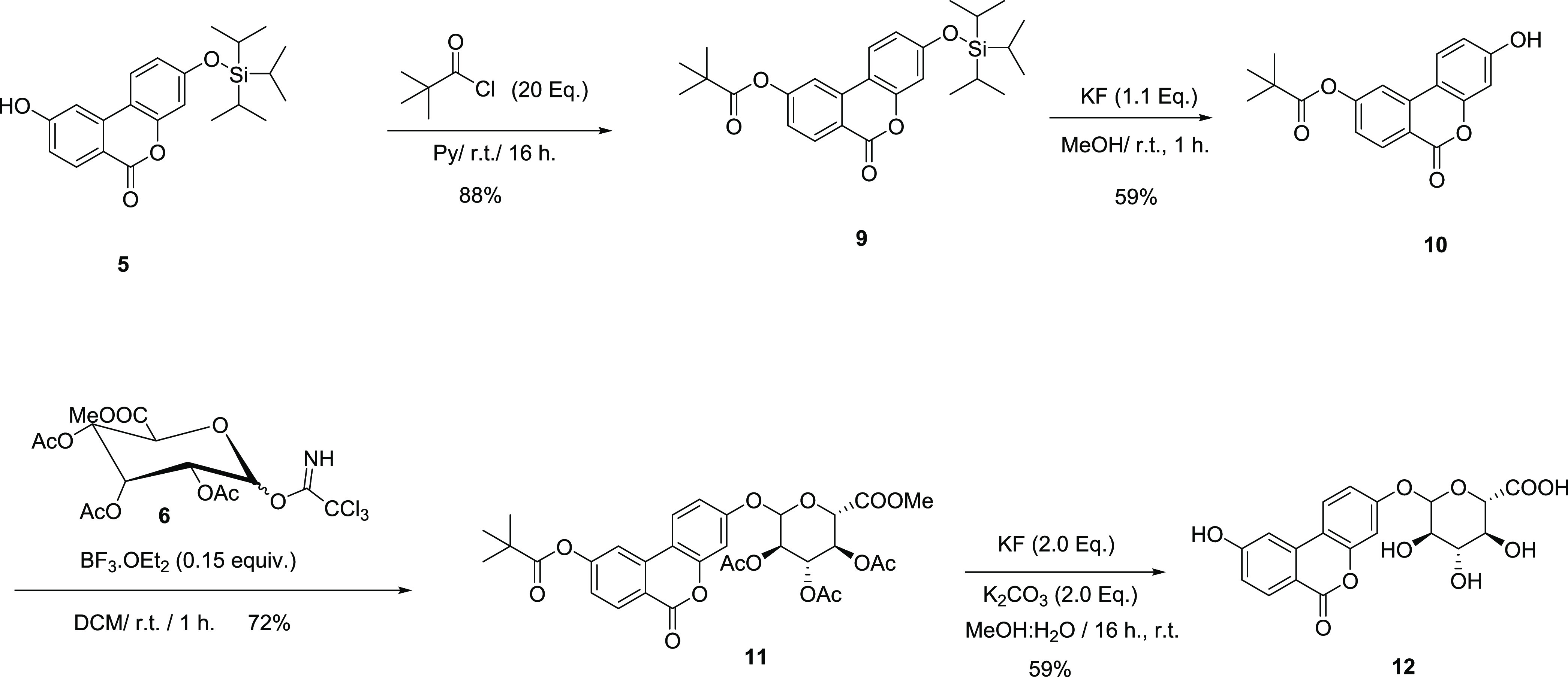 Scheme 2