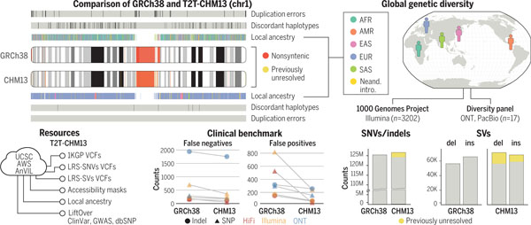 graphic file with name nihms-1814268-f0001.jpg