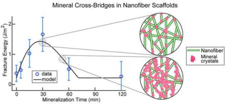 graphic file with name nihms881093u1.jpg